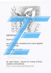 vedic sertifika Zeynel Eroğlu - Metafizik Uzmanı